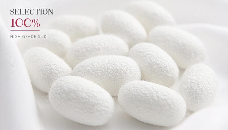 6A SIlk.jpg 6A SIlk.jpg